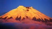 Excursion "Cotopaxi Volcano"